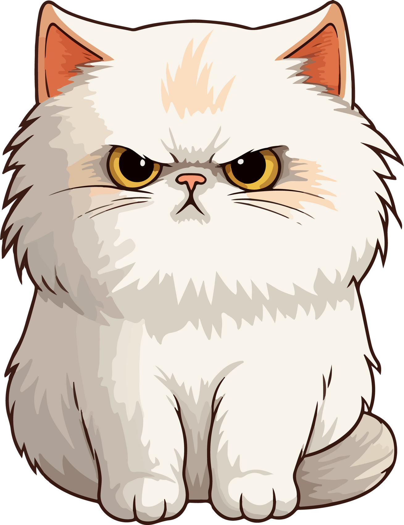 Grumpy Persian Cat